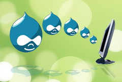 Drupal CMS Development