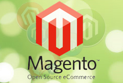 Magento Customiztion