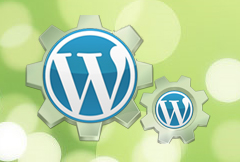 Wordpress Customization