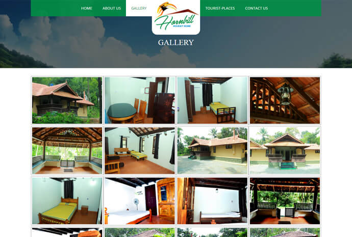 Hornbill Holiday
